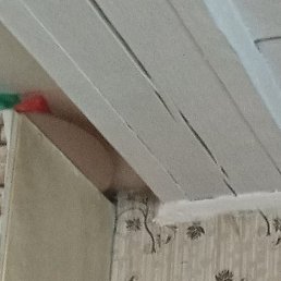 ������, ������, 52 ����