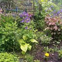 ���� ���, ���������� - ��������� 15 ����� 2024 � ������ ���� ����������