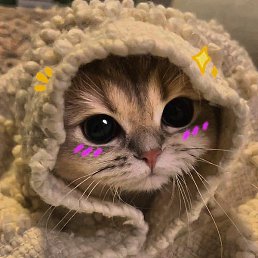 ���������, ������, 25 ���