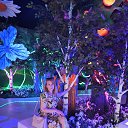 ���� �������, ������ - ��������� 31 ���� 2024 � ������ ���� ����������