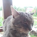 ���� ������, ����-��������� - ��������� 24 ���� 2025 � ������ ������ ���������