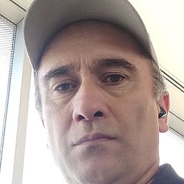 ����, �����-���������, 47 ���