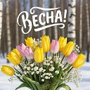 ���� ������, �������� - ��������� 20 ����� 2026 � ������ ������ ��������