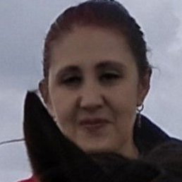 �����, ������, 53 ����