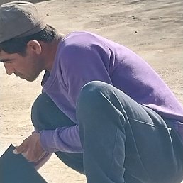 ����, �����-���������, 26 ���