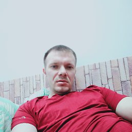 �������, 37 ���, ����������