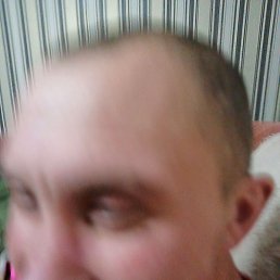 �������, ��������, 37 ���