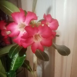���� �, ��������� - ��������� 13 ���� 2024