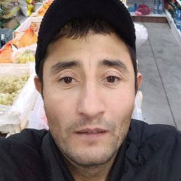 ������, ����������, 41 ���