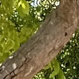 ����, ����, 56 ���