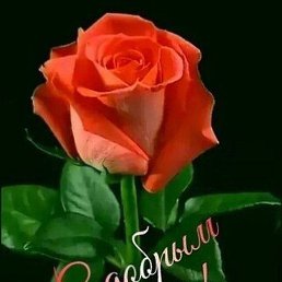 �����, ������, 60 ���