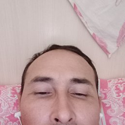 , 43 , 