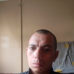 �����, 34 ����, �������