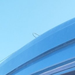 ������, �������, 51 ���