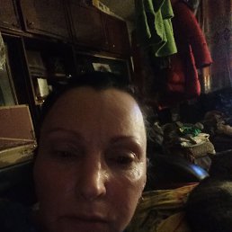 ���� ������, ������, 41 ��� - ��������� 1 ������� 2024