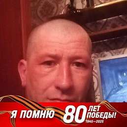 , 44, 