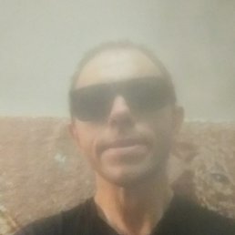 ������, ������, 46 ���