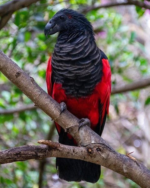 - -       .     .  ... - 6