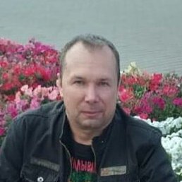 �������, ����, 51 ���