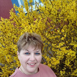 ���� �����, ������-��-����, 56 ��� - ��������� 6 ������ 2026