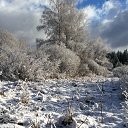 ���� ���, ������, 37 ��� - ��������� 10 ������ 2024 � ������ ������ ��������