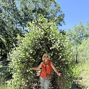 �������, , ���������