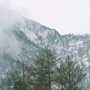 ���� ��������, ����-���, 42 ���� - ��������� 8 ��� 2025 � ������ ������ ��������