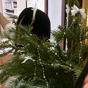 ��������, 36 ���, �����������