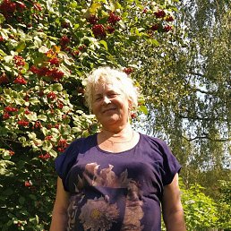 , 66, 
