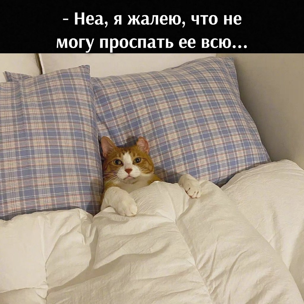 ��� ���� � ����� �� �� - 22 ����� 2026 � 12:30 - 2