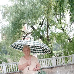 , 65, 