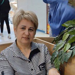 , 53, 