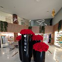 ���� �����, ������, 61 ��� - ��������� 27 ������� 2023