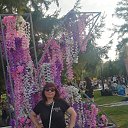 ���� ������, ���� - ��������� 9 ������� 2024 � ������ ���� ����������