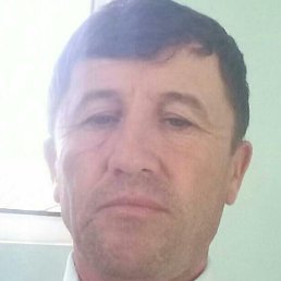 ����, �����-���������, 43 ����