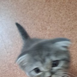 Irina, ������, 63 ����