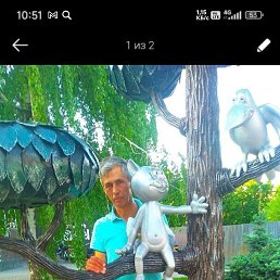 , 54 , 