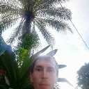 ���� ����, ���, 41 ��� - ��������� 28 ����� 2024 � ������ ���� ����������
