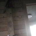 ���� ˸�� ���������, ������, 54 ���� - ��������� 9 �������� 2025 � ������ ���� ����������