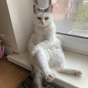 ���� ��������, ������, 57 ��� - ��������� 16 ������ 2025 � ������ ������ ��������