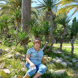 ���� �������, ����, 71 ��� - ��������� 25 ������� 2023