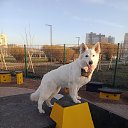 ���� ���������, �����-��������� - ��������� 19 ����� 2026 � ������ ���� ����������