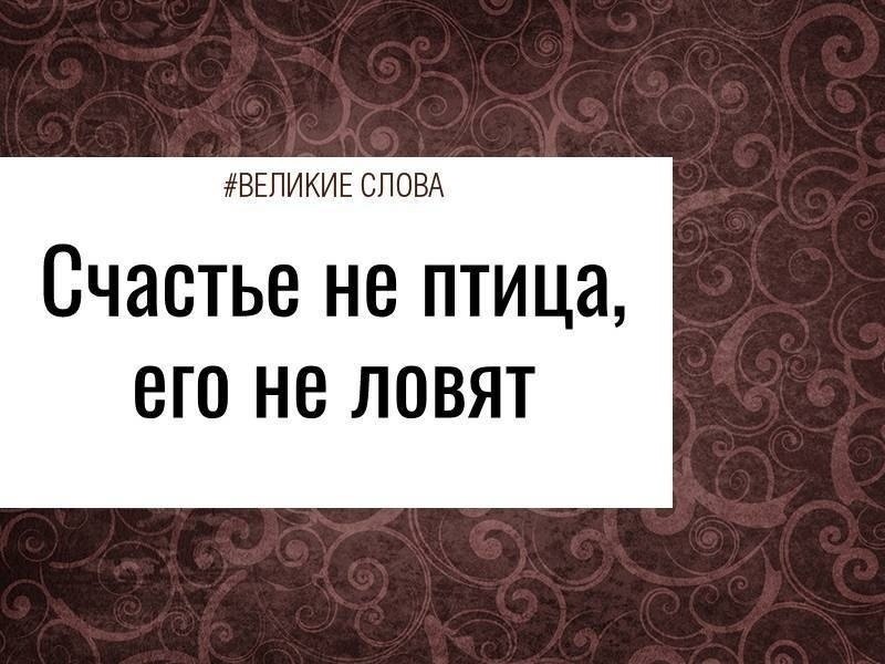 ����������� ����� ���� ���. �� ��������� ���������� ��� ����� : 