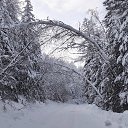 ���� �����, ������������ - ��������� 18 ������ 2024 � ������ ������ ��������
