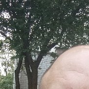 �����, 46 ���, �����