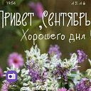 ���� ��������������� �������, ���������, 37 ��� - ��������� 3 ������ 2023 � ������ ���� ����������