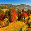 ���� ���������, ������� �������� - ��������� 17 ������� 2023 � ������ ������ ��������