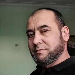 �����, ����������, 46 ���