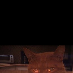 ���������, ������, 38 ���