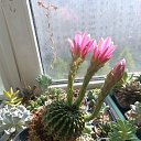 ���� �������, �����, 62 ���� - ��������� 2 ������ 2024 � ������ ���� �����